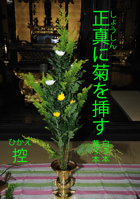 本堂の仏花_b0400632_10232971.jpg
