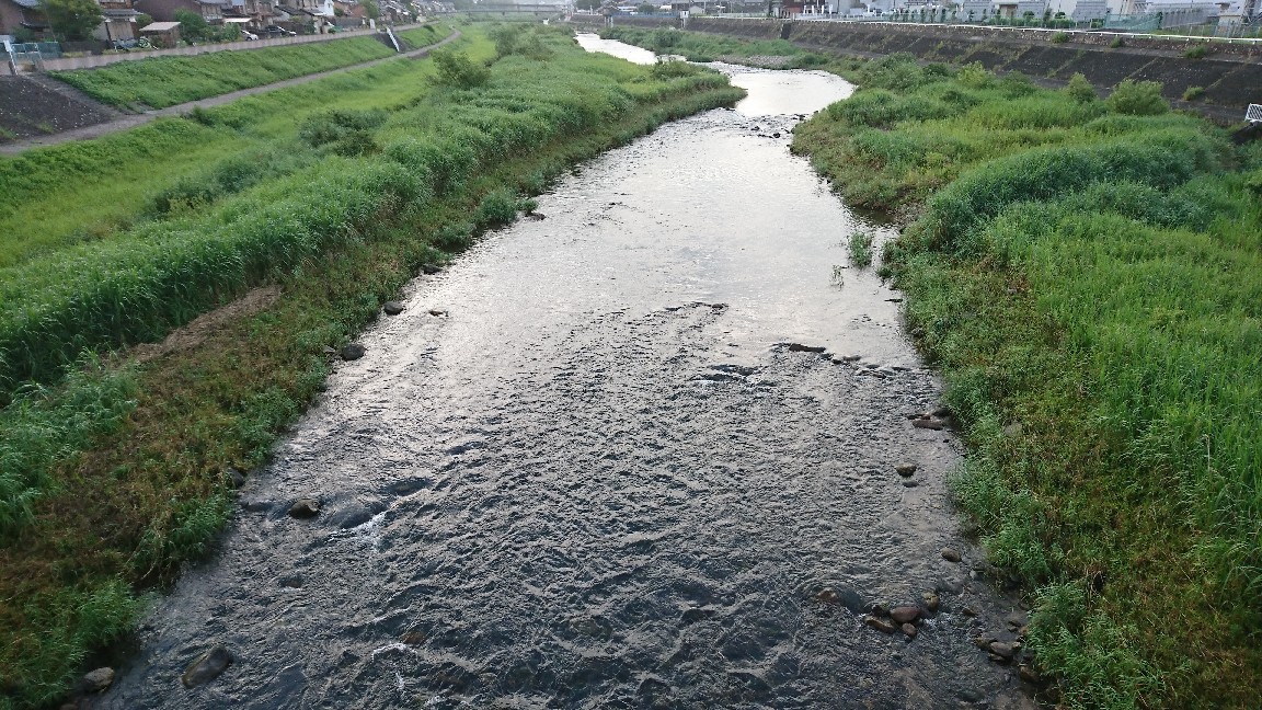 6月26日 河川情報。午..._c0266737_06253370.jpg