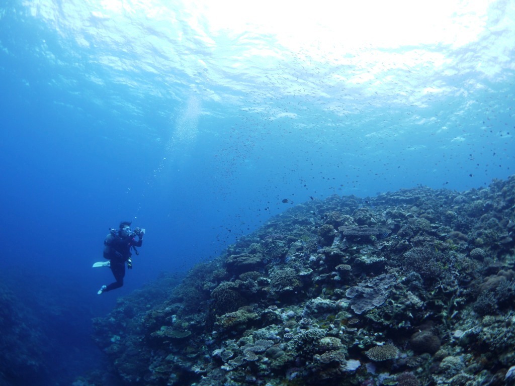 夏本番前のカーチバイ~_a0189838_18074909.jpg
