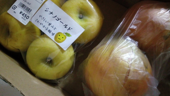 期日前投票の利用_b0217741_22152378.jpg