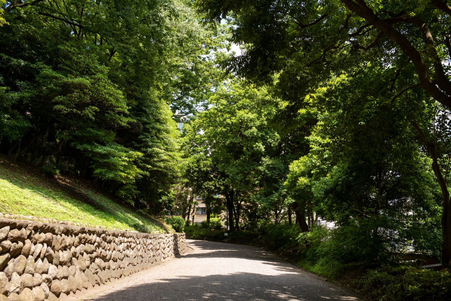 【重要文化財|旧岩崎邸庭園】 詳細見学情報 (旧岩崎家住宅)_b0212342_13183782.jpg