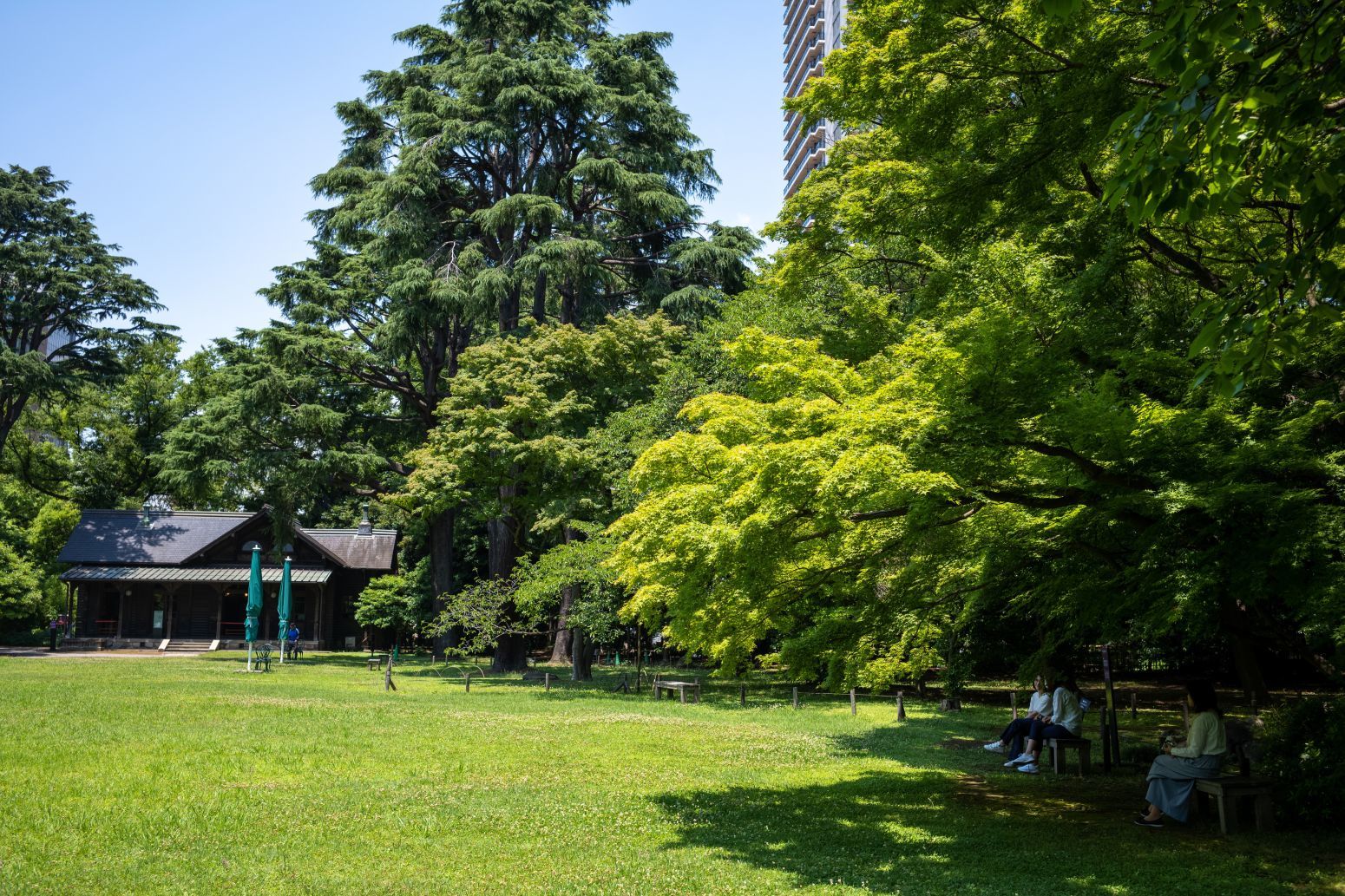 【重要文化財|旧岩崎邸庭園】 詳細見学情報 (旧岩崎家住宅)_b0212342_13352320.jpg