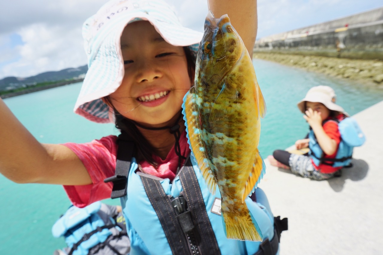ネコクラブa 03 ダンボール魚釣りにチャレンジしよう 6 自分で作った ダンボールで作った釣りざおで魚釣りに挑戦 果たして釣れるのか ねこんちゅ通信 ネコのわくわく自然教室
