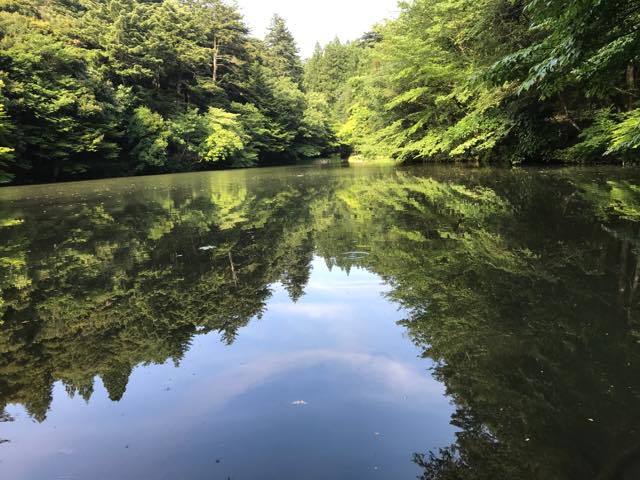 石垣の修復工事も終盤を迎え........._b0194185_20043062.jpg