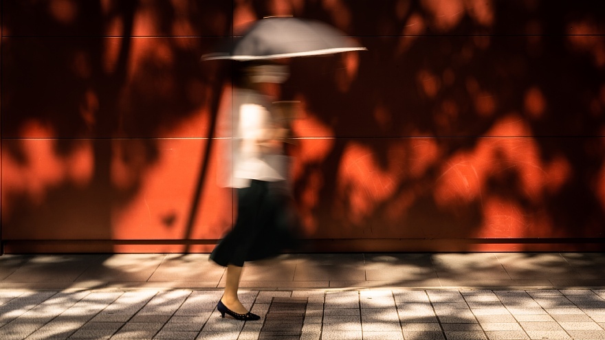 水無月の晴間を謳歌する光蜥蜴_d0353489_23320782.jpg