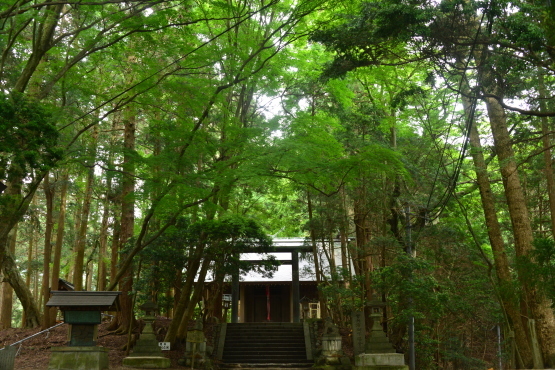 2020/9/6 (日)山旅女子 Ramri倶楽部 <特別企画> 金剛山お散歩とDolpoのお話 _e0111396_13471773.jpg