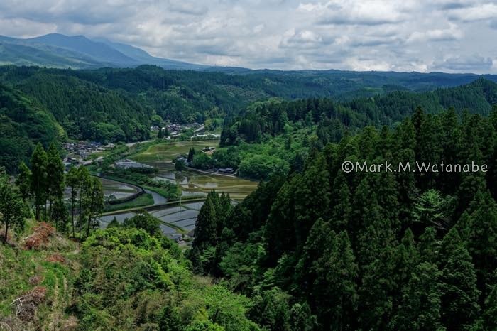 満願寺-田植えの時期_e0135098_06083863.jpg
