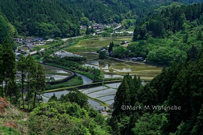 満願寺-田植えの時期_e0135098_06085170.jpg