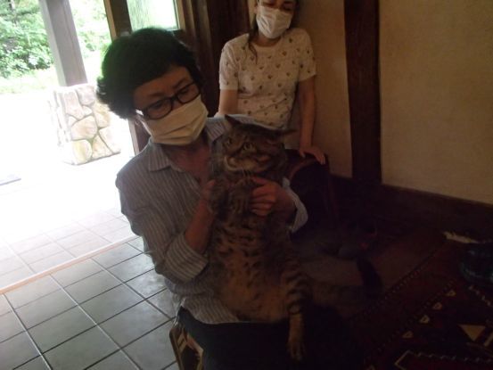 看板猫?_f0064906_17411305.jpg