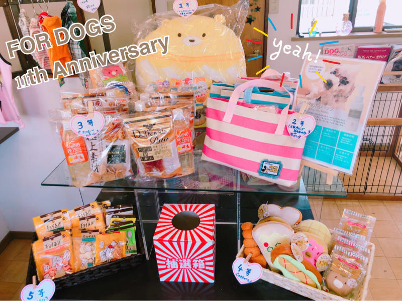 11th Anniversary!!_a0392514_15010783.jpg