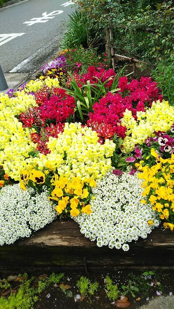 差入れやお花について_e0091114_19322121.jpg