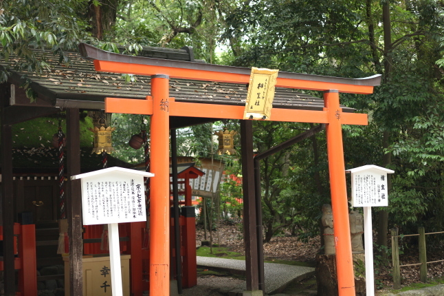 自然からパワーをもらった一日_f0354014_21534840.jpg