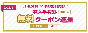 6/30最終 ビッグローブ格安SIM6ヶ月無料回線申し込み 光回線契約で6.4万円相当特典_d0262326_16214476.png