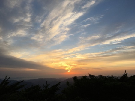 6月27日(土)朝の気温10℃_c0089831_05331126.jpeg
