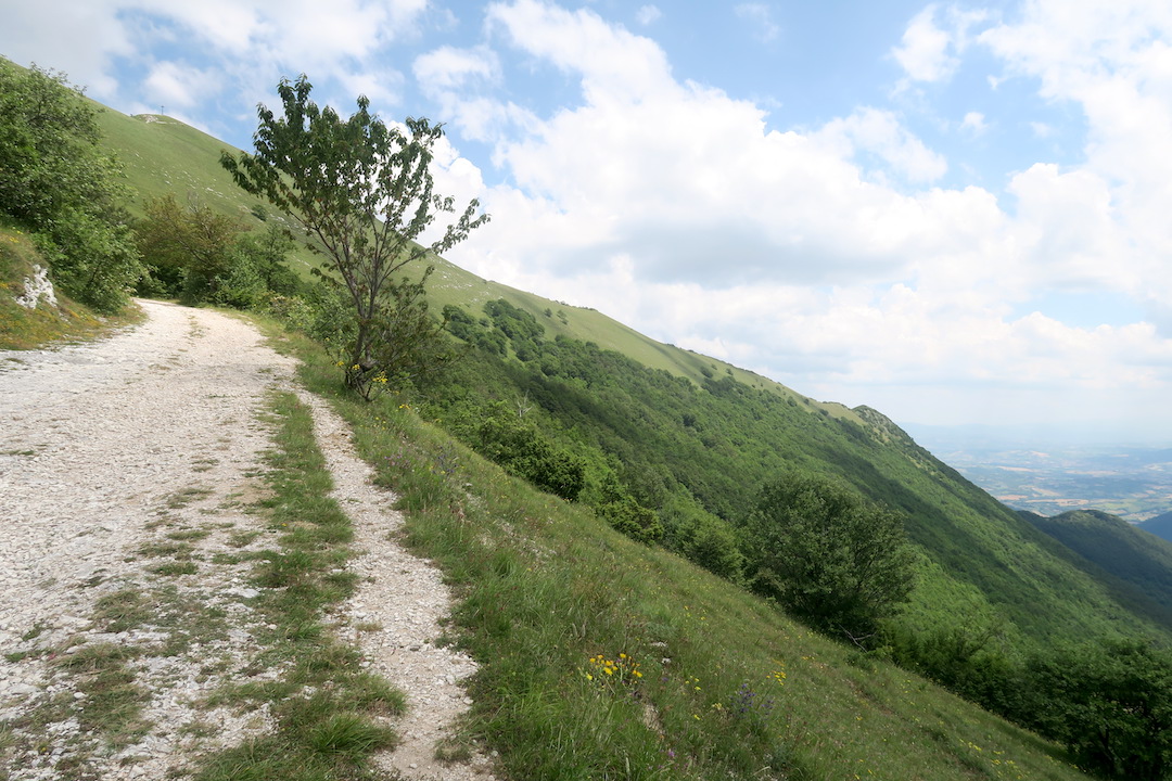 花いっぱいの魔女の山 Monte della Strega_f0234936_6114647.jpg