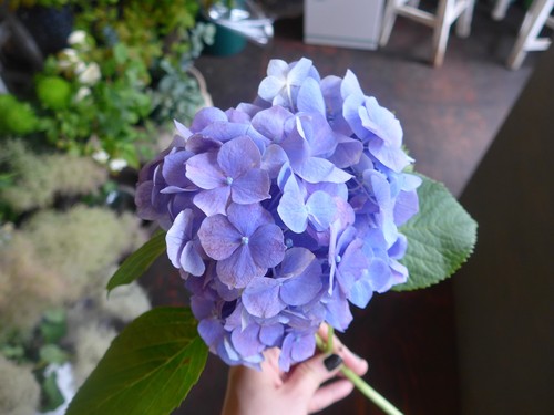 花修行~「鮨 波やし」さんの2020年6月のお花~_f0232060_1857056.jpg