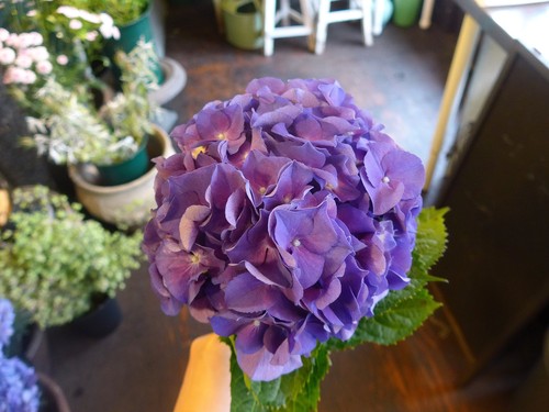 花修行~アジサイのブーケ~_f0232060_19194150.jpg