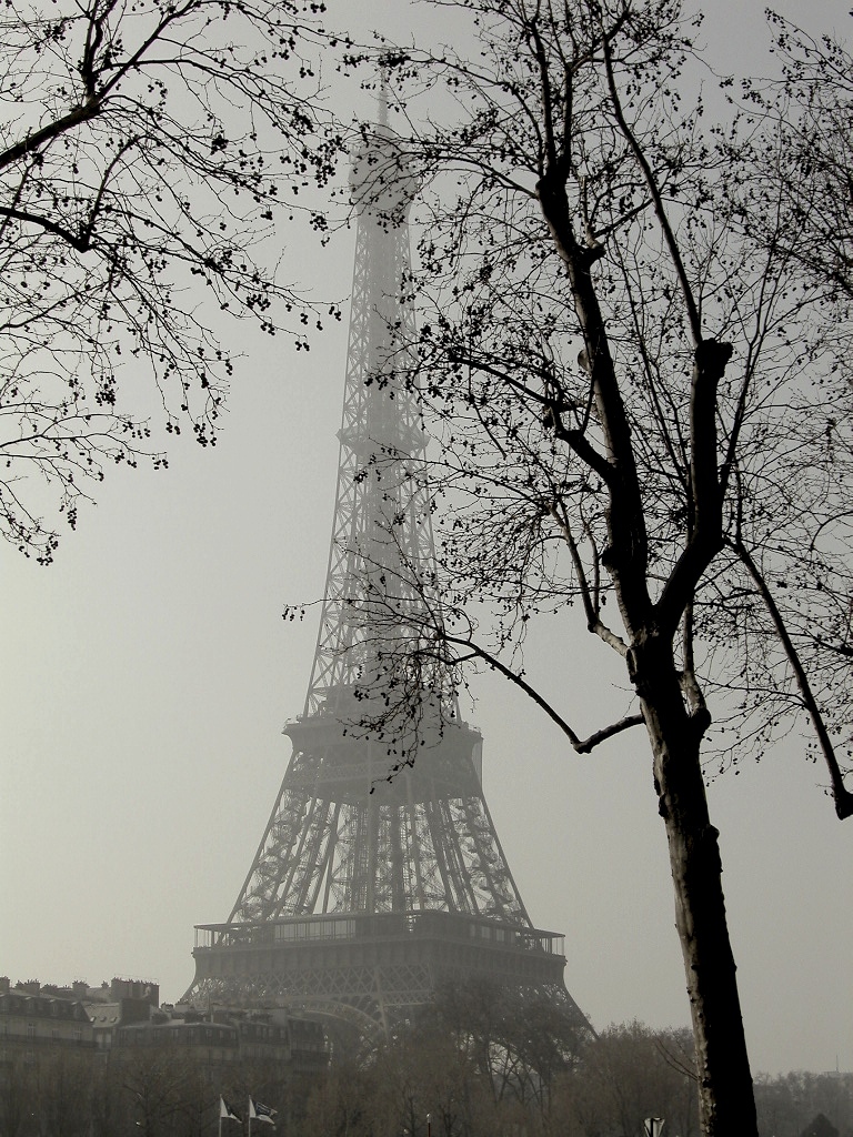 memories vol.1 - Paris & Bruxelles -_d0349265_13492028.jpg