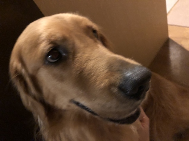 ワンダフル ライフ。_a0394574_22154271.jpeg