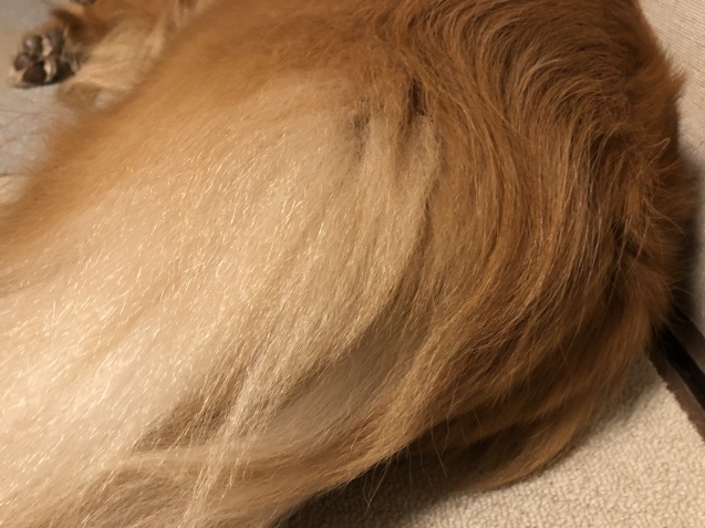 ワンダフル ライフ。_a0394574_22172859.jpeg