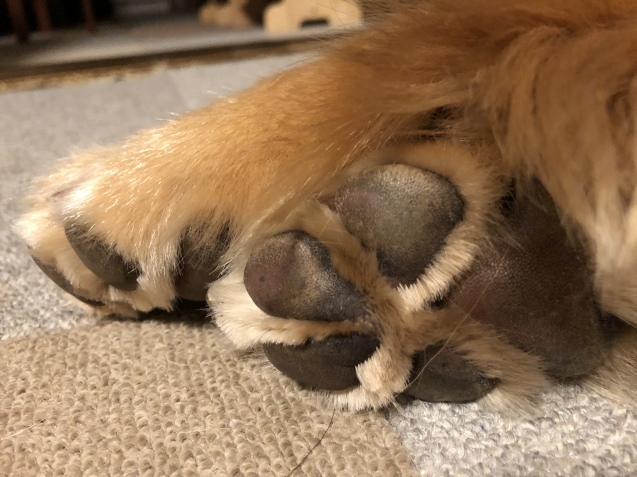 ワンダフル ライフ。_a0394574_22191451.jpeg