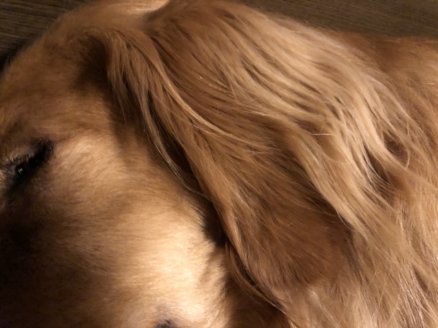 ワンダフル ライフ。_a0394574_22203962.jpeg