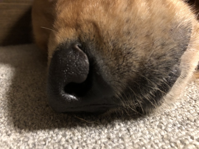 ワンダフル ライフ。_a0394574_22224803.jpeg