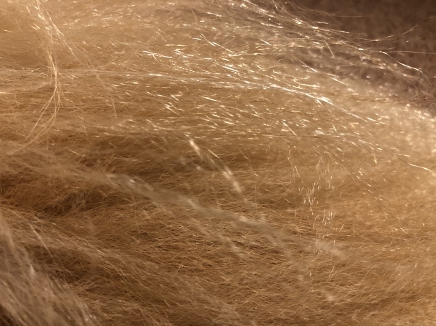 ワンダフル ライフ。_a0394574_22301624.jpeg