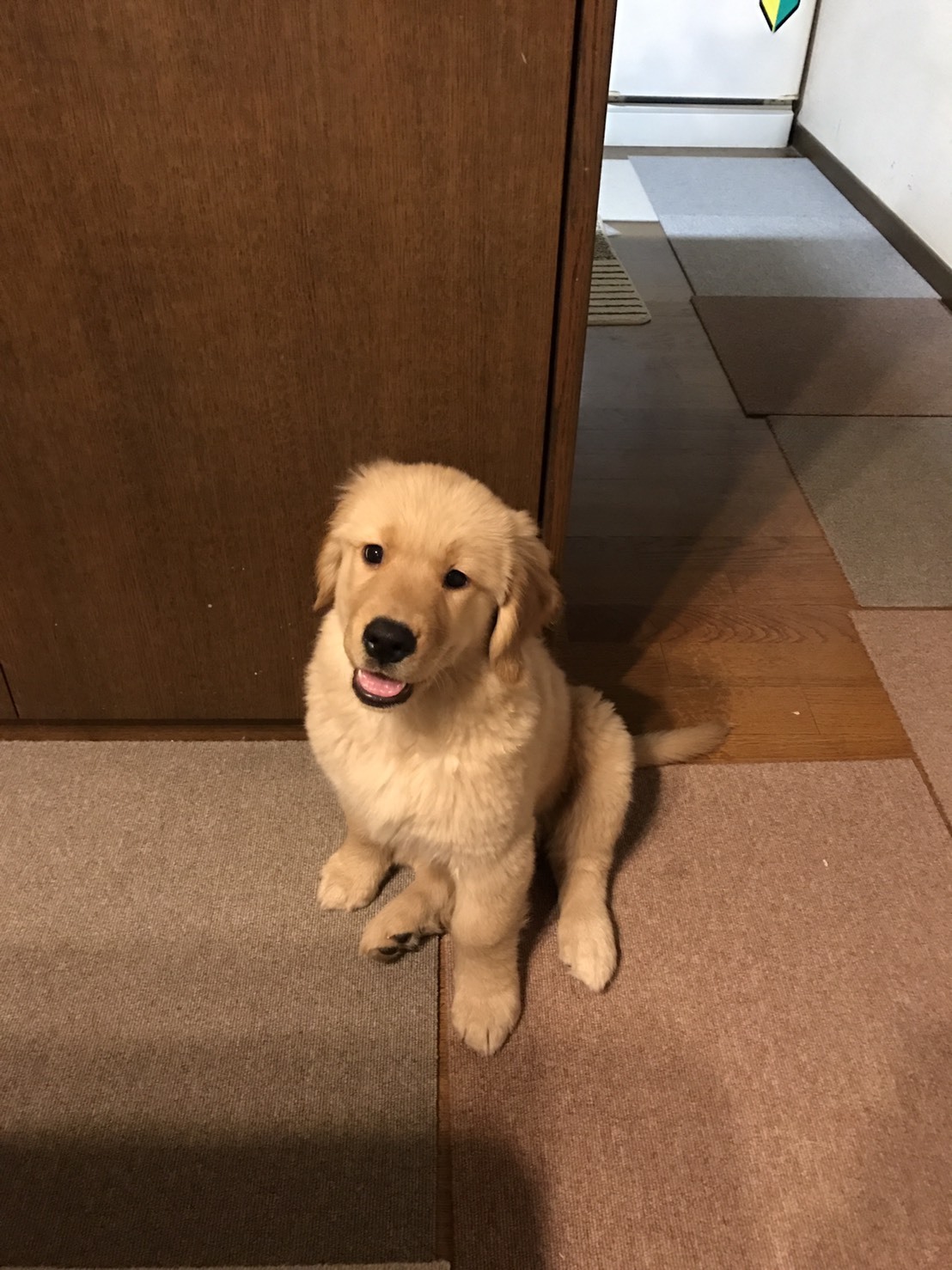 ワンダフル ライフ。_a0394574_22342607.jpeg