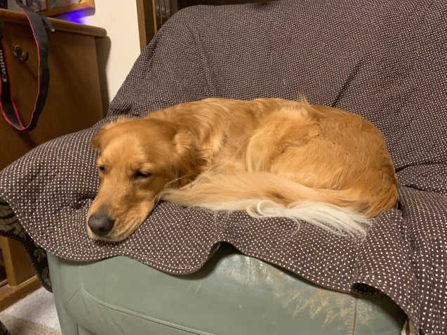 ワンダフル ライフ。_a0394574_22373045.jpeg