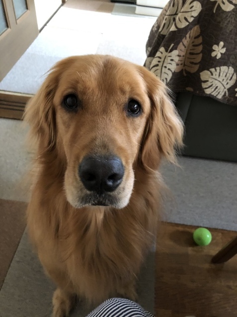 ワンダフル ライフ。_a0394574_22393041.jpeg