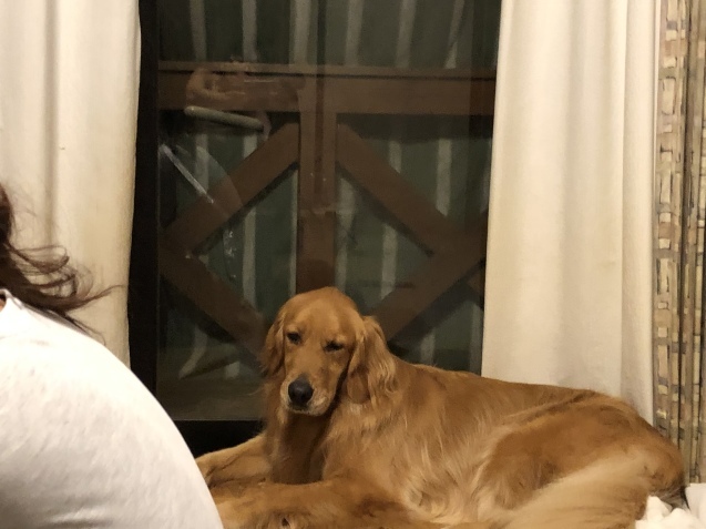 ワンダフル ライフ。_a0394574_22465353.jpeg