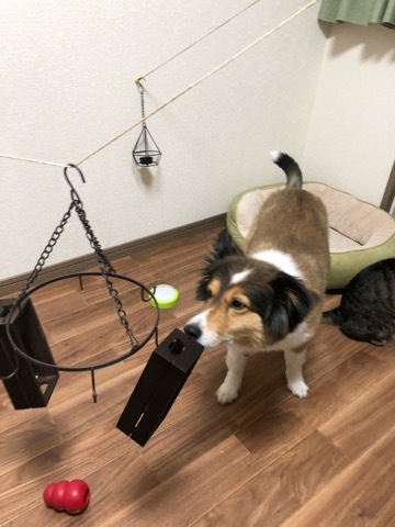 トレーニングブログ_f0357682_22490761.jpeg
