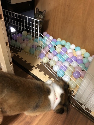 トレーニングブログ_f0357682_22515898.jpeg