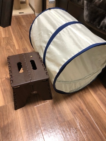 トレーニングブログ_f0357682_22531488.jpeg