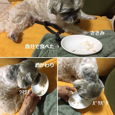 昨日のササミのその後と布狩り♪_f0372998_20453011.jpg