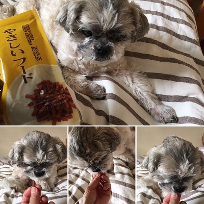 昨日のササミのその後と布狩り♪_f0372998_20461680.jpg