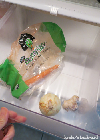 週1あらため2週間+αに1回の食材まとめ買いと献立(2-13)- 17 Days_b0253205_01154179.jpg
