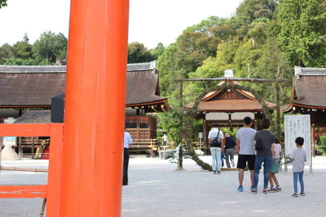 夏越しの大祓...茅の輪くぐり_f0354014_15461480.jpg