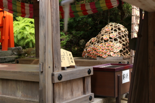 夏越しの大祓...茅の輪くぐり_f0354014_15475457.jpg