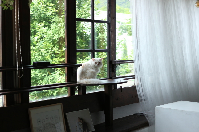 夏越しの大祓...茅の輪くぐり_f0354014_15491298.jpg
