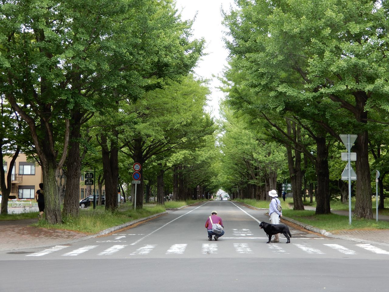 霧雨の日曜日_c0025115_21480959.jpg