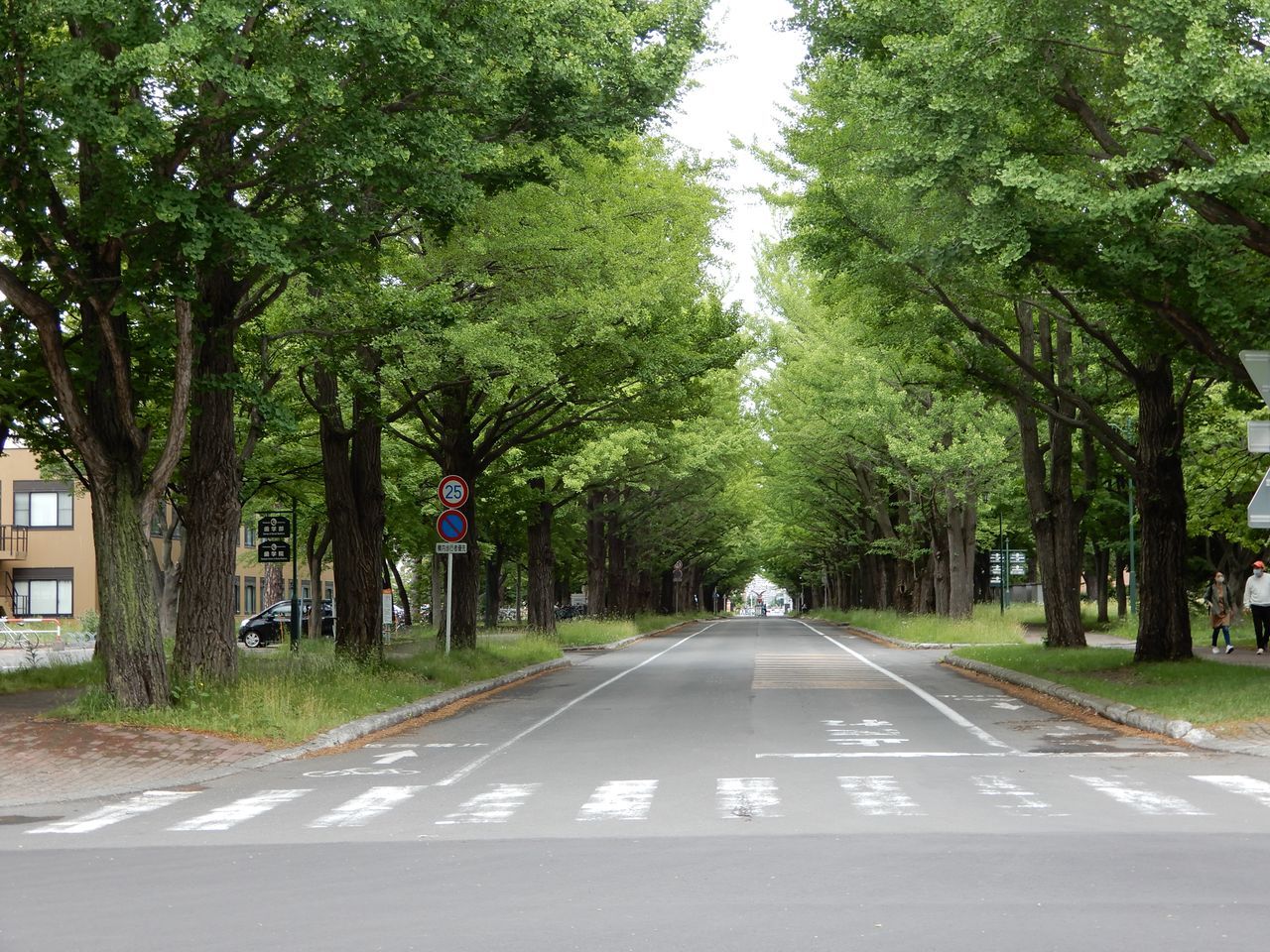 霧雨の日曜日_c0025115_21495134.jpg