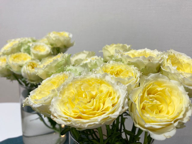 おもてなしって・・・_e0208519_14221580.jpg