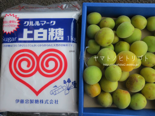 天然梅サイダー【フォトムービーあり】_e0394031_07391579.jpg