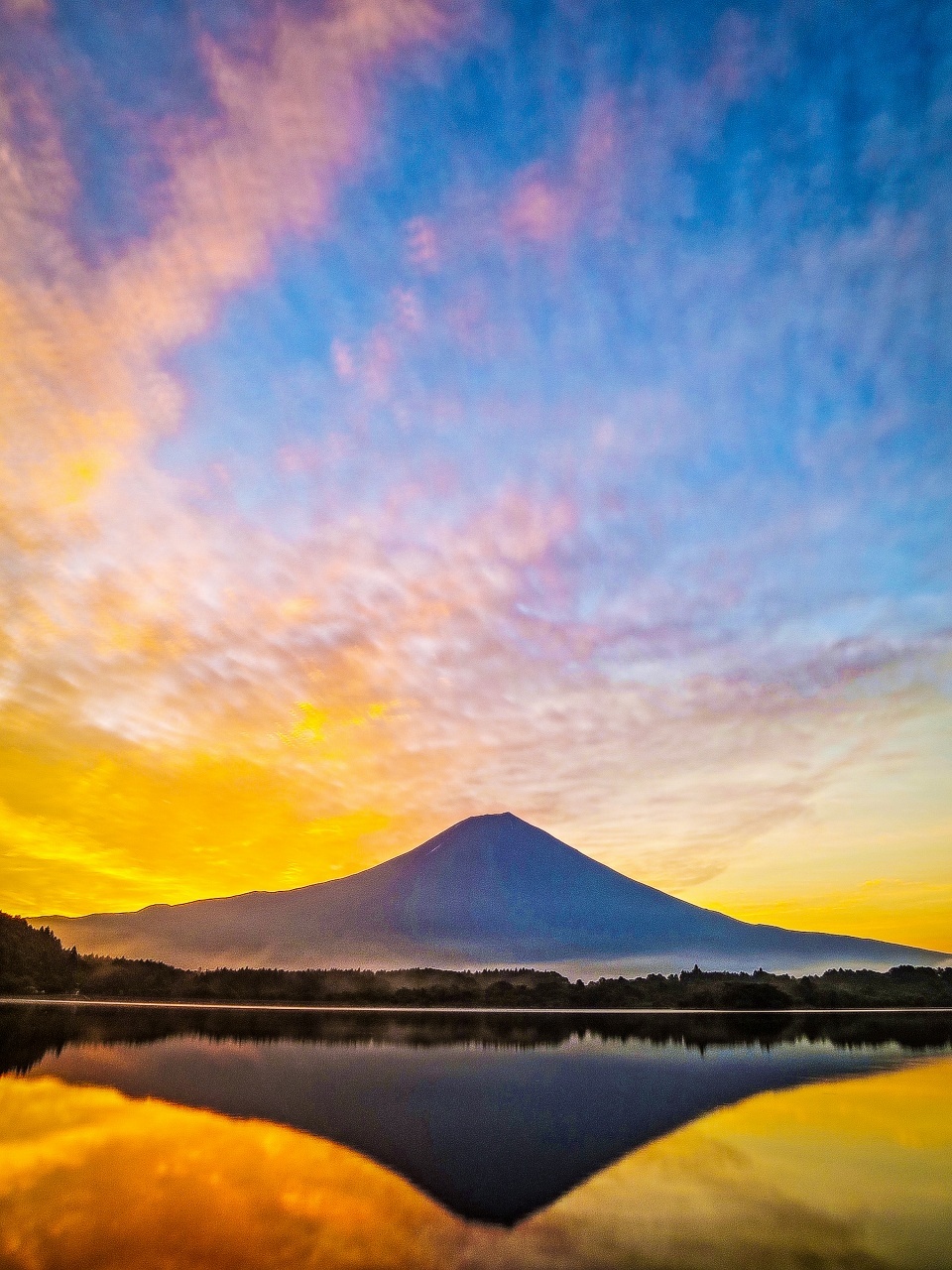 2020.6.27梅雨の晴れ間の朝の富士山(田貫湖他)_e0321032_15251740.jpg