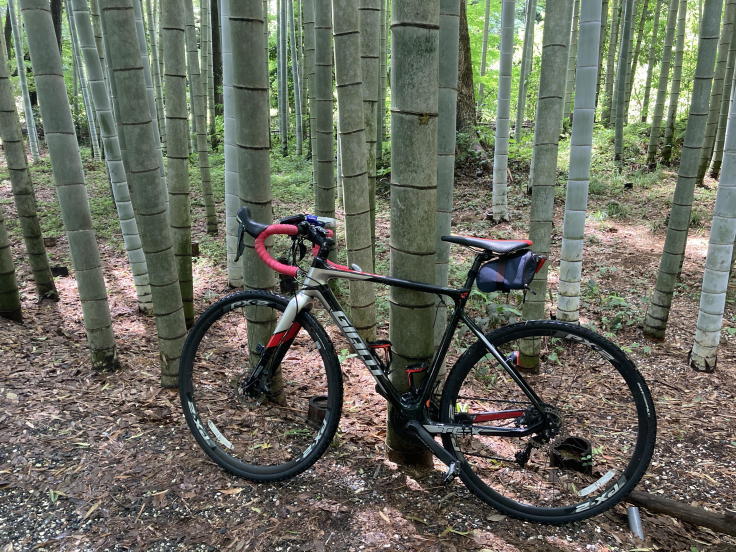 チャリンコと私とスマートウォッチ #2ー Power of the Garmin original_b0060239_13330891.jpg