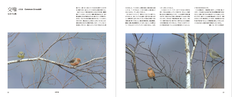 blurbのphoto bookを試す_c0042548_17391256.jpg