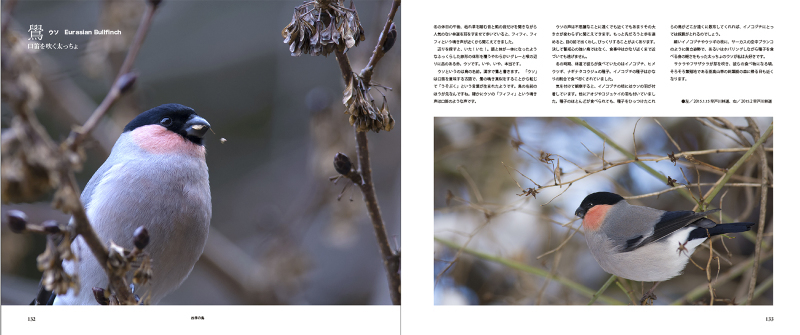 blurbのphoto bookを試す_c0042548_17391794.jpg