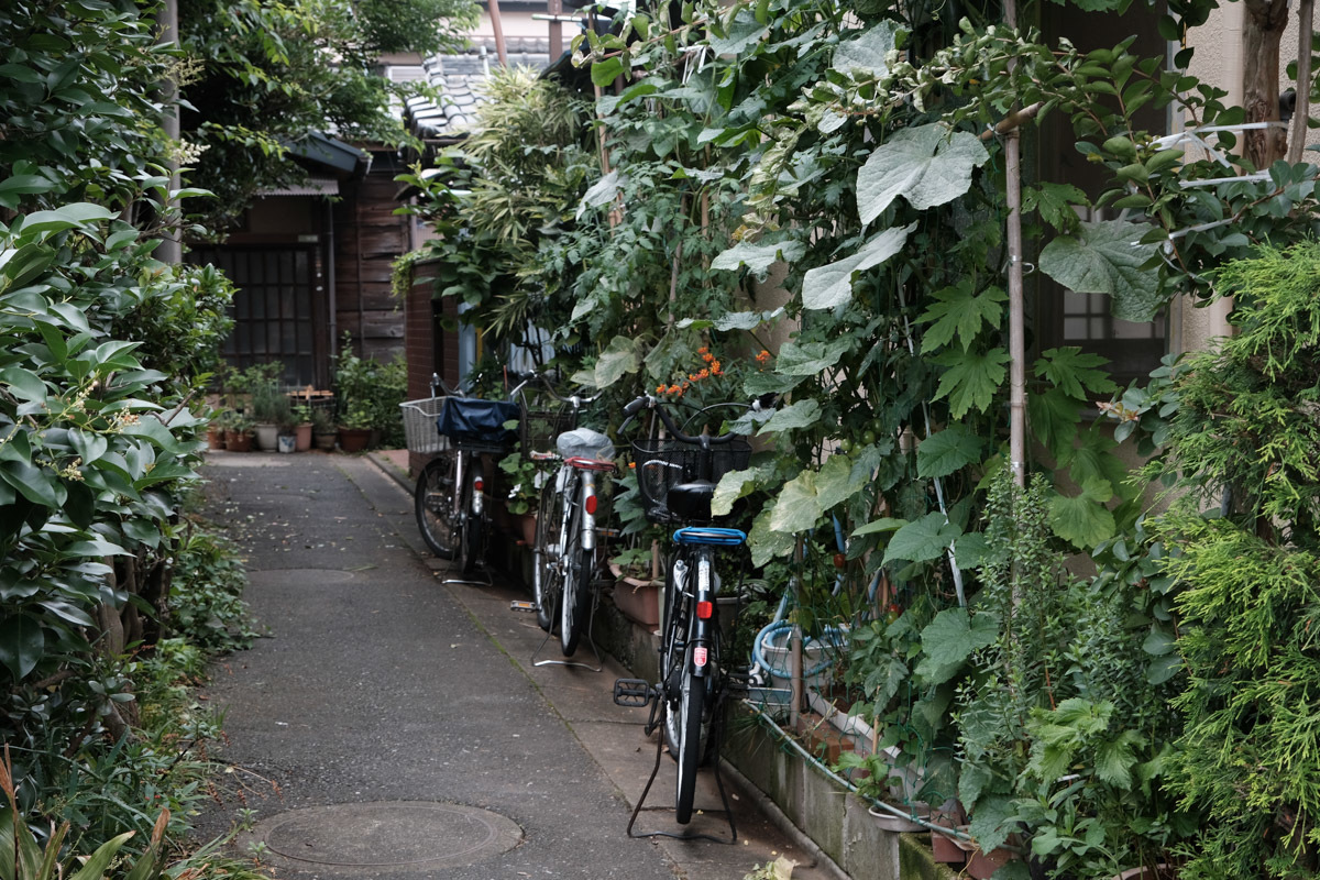 下町リハビリ散歩~第一章、青砥から立石2~_c0084666_12574865.jpg
